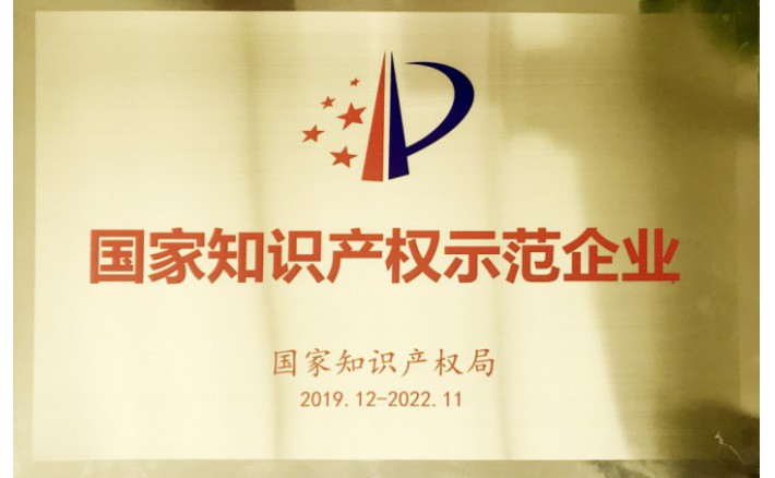 国家知识产权示范企业